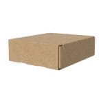 Die Cut Boxes (Brown) -152 x 127 x 44 mm (6 x 5 x 1.7 inches)